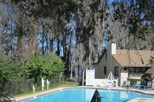 2225 Lark Cir W, Palm Harbor, FL 34684 - Photo 20