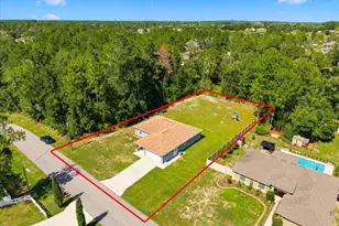 12327 Millington Ave, Weeki Wachee, FL 34614 - Photo 6