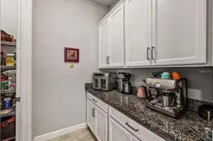 16959 Scuba Crest St, Wimauma, FL 33598 - Photo 14