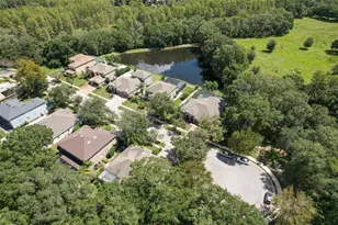 4752 Patagonia Pl, Land O Lakes, FL 34638 - Photo 60
