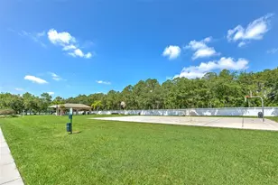 4752 Patagonia Pl, Land O Lakes, FL 34638 - Photo 76