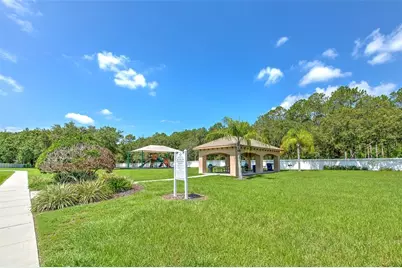 4752 Patagonia Place, Land O Lakes, FL 34638 - Photo 84