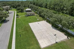 4752 Patagonia Pl, Land O Lakes, FL 34638 - Photo 70