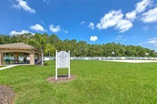 4752 Patagonia Pl, Land O Lakes, FL 34638 - Photo 78