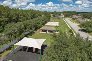 4752 Patagonia Pl, Land O Lakes, FL 34638 - Photo 66