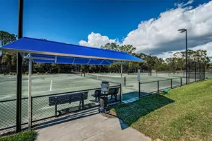 222 Caryl Way, Oldsmar, FL 34677 - Photo 58