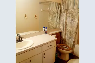 15301 Montreat Way, Tampa, FL 33625 - Photo 46