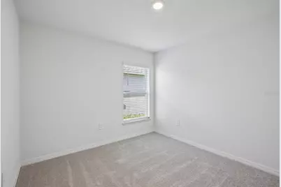 15005 Emerson Field Street, Wimauma, FL 33598 - Photo 20