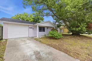 6037 Moog Rd, New Port Richey, FL 34653 - Photo 1