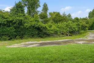 1250 Charlesworth Dr, Wesley Chapel, FL 33543 - Photo 46