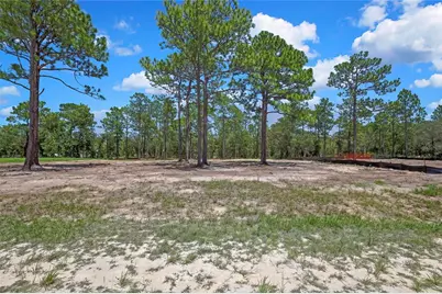 16116 Medrick Road, Brooksville, FL 34614 - Photo 4