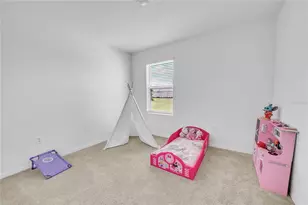 8237 Juning Cv, Wesley Chapel, FL 33545 - Photo 50