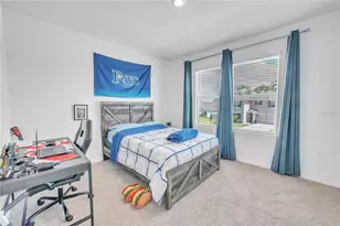 8237 Juning Cv, Wesley Chapel, FL 33545 - Photo 46