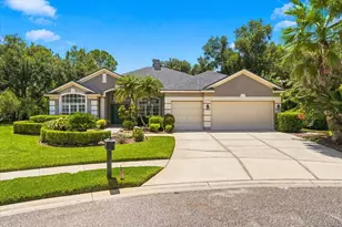 6121 Chene Ct, Lutz, FL 33558 - Photo 1