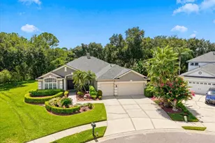 6121 Chene Ct, Lutz, FL 33558 - Photo 2