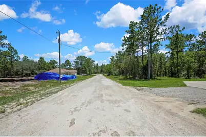 16126 Medrick Road, Brooksville, FL 34614 - Photo 6