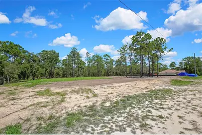 16126 Medrick Road, Brooksville, FL 34614 - Photo 4