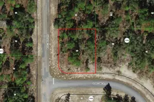 3299 W Higgins Pl, Citrus Springs, FL 34433 - Photo 1