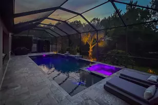 31961 Sandspirit Pl, Wesley Chapel, FL 33543 - Photo 70