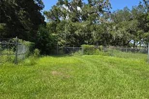 11110 Serenity Oaks Ln, Thonotosassa, FL 33592 - Photo 1