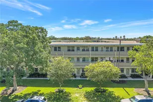 1051 79th Ave N, Saint Petersburg, FL 33702 - Photo 30