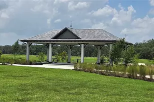 36645 Sagemoor Dr, Zephyrhills, FL 33541 - Photo 60