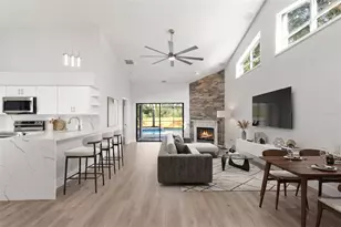 11651 Sunshine Pond Rd, Tampa, FL 33635 - Photo 6
