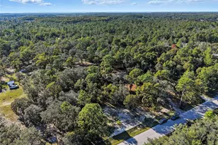 17539 Edwin Terrace, Hudson, FL 34667 - Photo 10