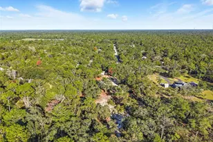 17539 Edwin Terrace, Hudson, FL 34667 - Photo 8