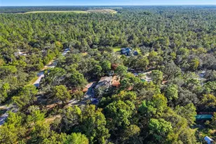 17539 Edwin Terrace, Hudson, FL 34667 - Photo 6