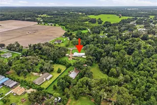 3704 Thonotosassa Rd, Plant City, FL 33565 - Photo 8