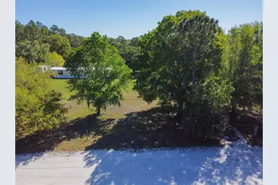 3320 Tina Marie Drive, Wesley Chapel, FL 33543 - Photo 74