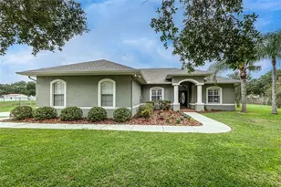 3631 Alafia Creek St, Plant City, FL 33567 - Photo 1