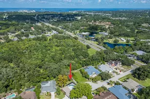 1967 Castille Dr, Dunedin, FL 34698 - Photo 8
