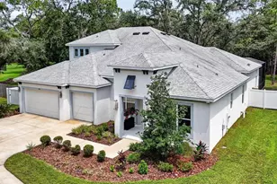 2304 Clement Rd, Lutz, FL 33549 - Photo 4