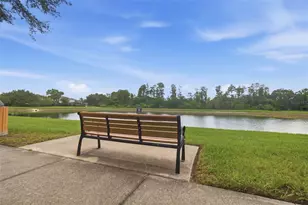 2814 Maple Brook Loop, Lutz, FL 33558 - Photo 38