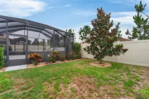 16817 Whisper Elm St, Wimauma, FL 33598 - Photo 50