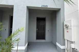 33083 Frosted Clover Wy, Wesley Chapel, FL 33545 - Photo 2