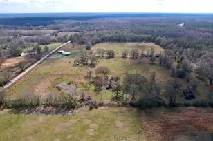 14890 Cr 757, Webster, FL 33597 - Photo 90