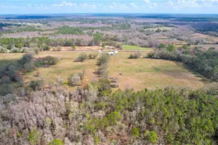 14890 Cr 757, Webster, FL 33597 - Photo 92