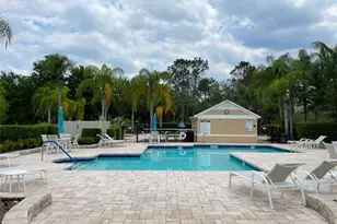 19111 Lake Audubon Dr, Tampa, FL 33647 - Photo 22