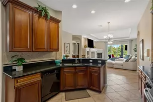 19908 Bluff Oak Blvd, Tampa, FL 33647 - Photo 6