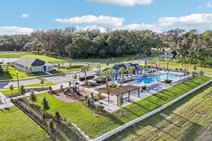5831 Native Oak St, Mount Dora, FL 32757 - Photo 8