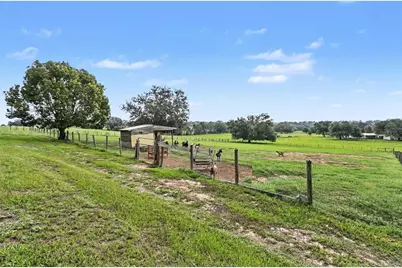 36304 Tomkow Lane, Dade City, FL 33523 - Photo 52