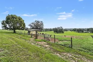 36304 Tomkow Ln, Dade City, FL 33523 - Photo 52
