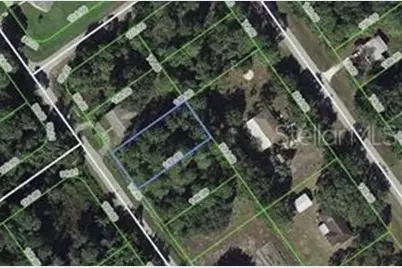 445 Pershing Avenue, Lake Placid, FL 33852 - Photo 1