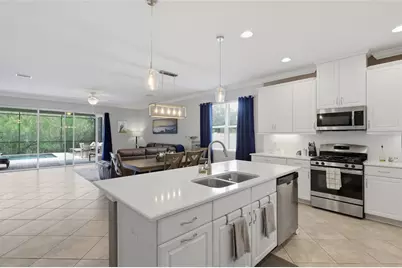 27035 Carolina Aster Drive, Wesley Chapel, FL 33544 - Photo 10