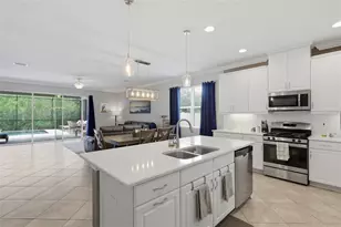 27035 Carolina Aster Dr, Wesley Chapel, FL 33544 - Photo 10