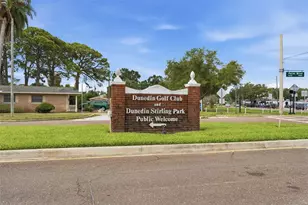 2048 Jefferson Ave, Dunedin, FL 34698 - Photo 26