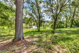 16123 E Lake Burrell Dr, Lutz, FL 33549 - Photo 52
